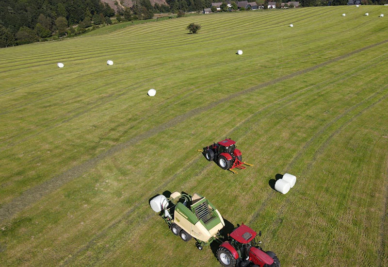 Hof_Froehling_Pferde_im_Stall_800x550px
