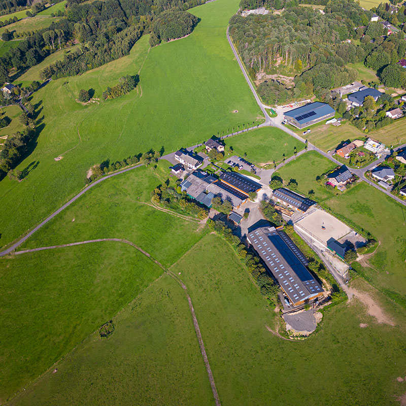 Hof_Froehling_Pferde_im_Stall_800x550px