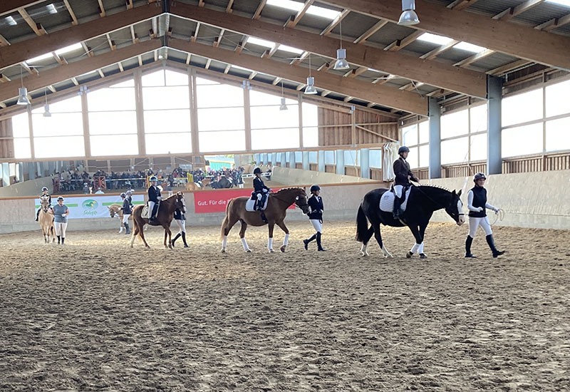 Hof_Froehling_Pferde_im_Stall_800x550px