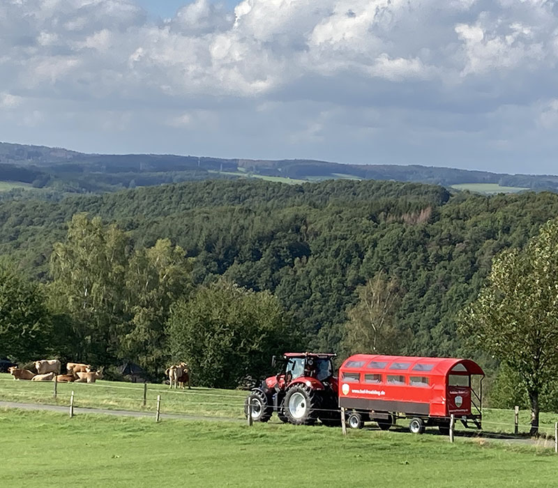 Hof_Froehling_Pferde_im_Stall_800x550px