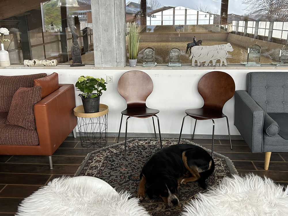 Hof_Fröhling_Impressionen_Pferdepension_01