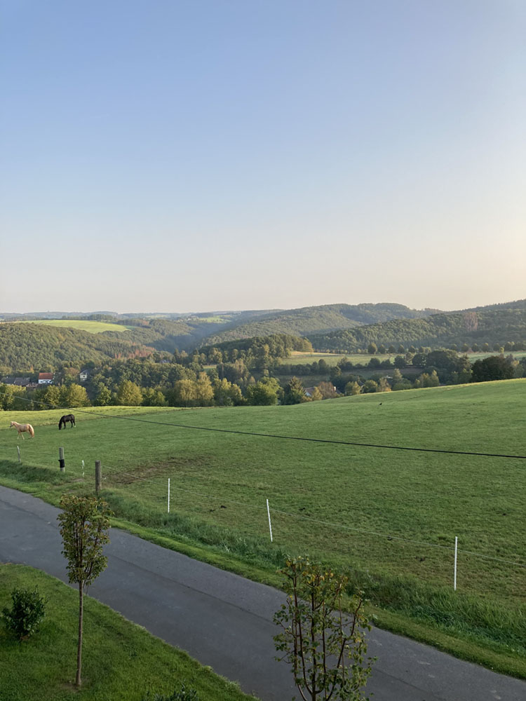 Hof_Fröhling_Impressionen_Pferdepension_04