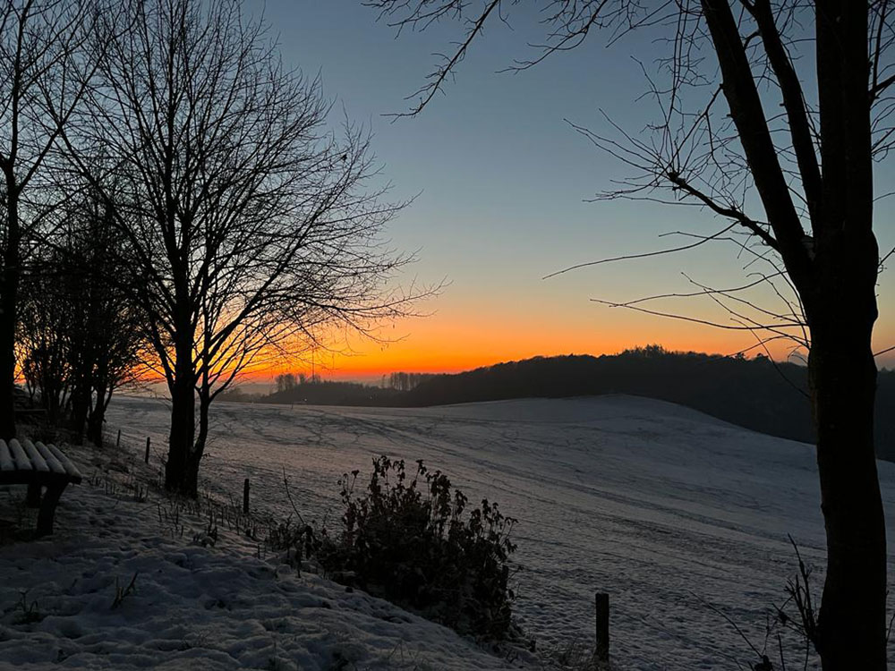 Hof_Fröhling_Impressionen_Pferdepension_23