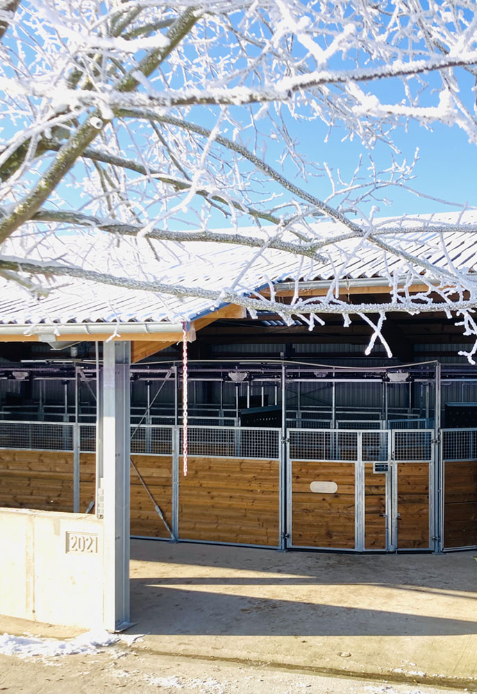 Hof_Fröhling_Impressionen_Pferdepension_11