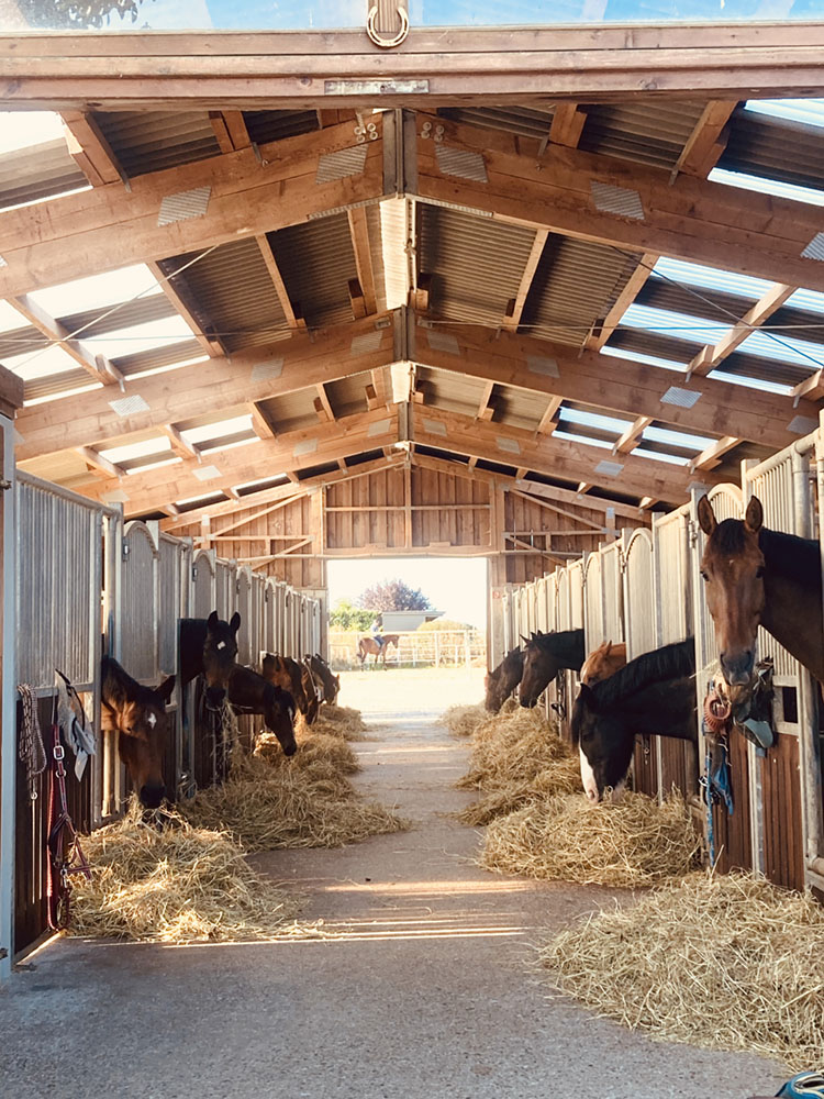 Hof_Fröhling_Impressionen_Pferdepension_12
