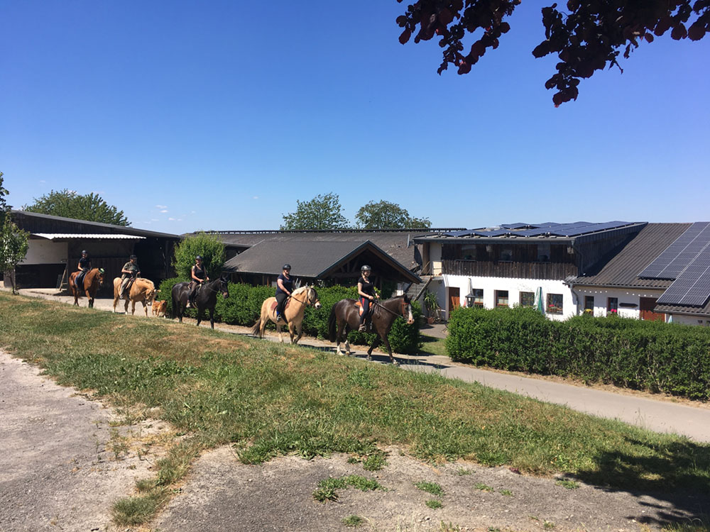 Hof_Fröhling_Impressionen_Pferdepension_15