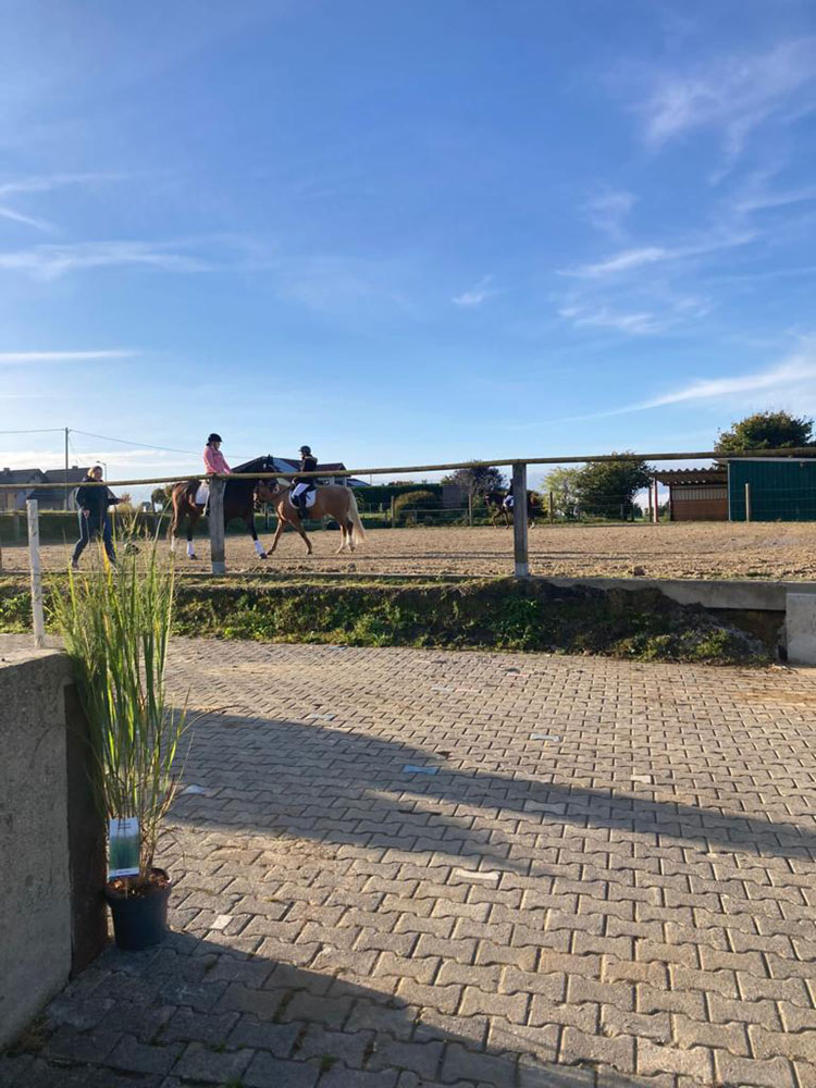 Hof_Fröhling_Impressionen_Pferdepension_17